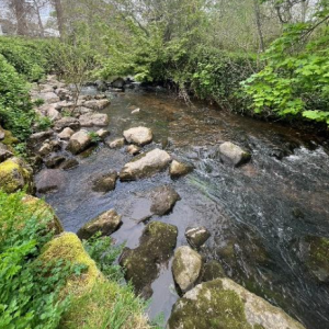 RSCG - Bouldre Check Weir