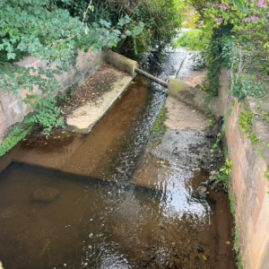 RSCG - Modified Channel Bed