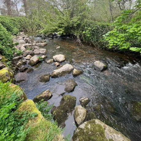 RSCG - Bouldre Check Weir